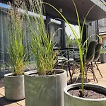Pajurio Gintaro Apartamentai * Παλάγκα