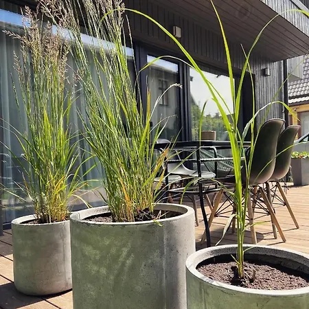 Pajurio Gintaro Apartamentai * Palanga