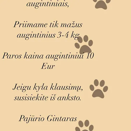 Appartement Pajurio Gintaro Apartamentai Palanga