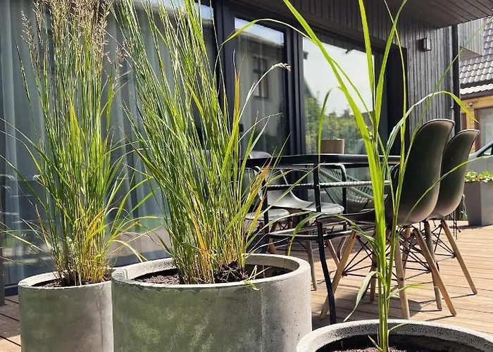 Pajurio Gintaro Apartamentai * פלאנגה